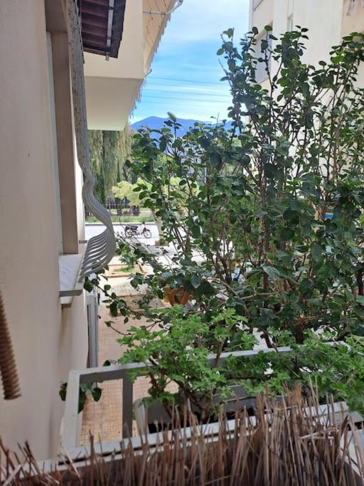 Ferienwohnung Δίπλα Στο Πάρκο Kalamata Exterior foto